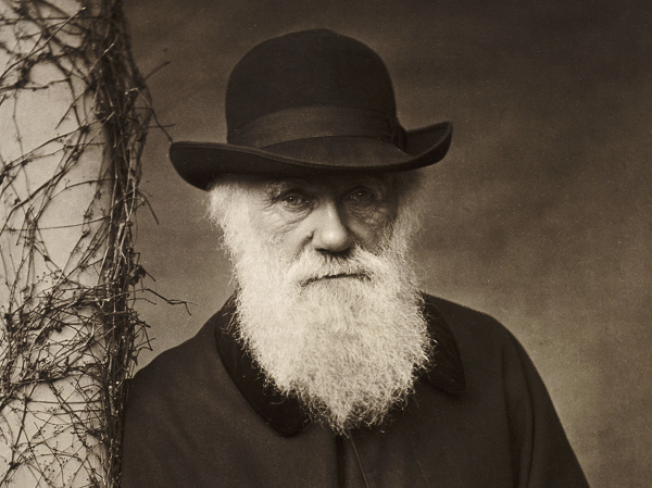Trong chương đầu tiên của cuốn The Descent of Man (tạm dịch: Nguồn gốc muôn loài), Charles Darwin đã nói rằng, trong tương lai có tới 10 hoặc hơn 10 phần cơ thể sẽ trở nên vô dụng.