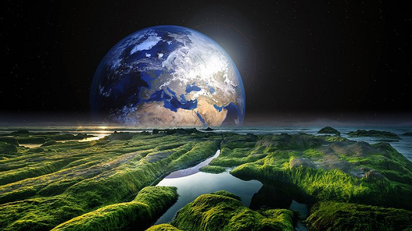 Loài vi khuẩn này được tìm thấy trên khắp thế giới. Chúng phát triển trong bất kỳ trong môi trường nước nào. Nước ngọt, nước lợ biển đều là nơi có thể phát triển.