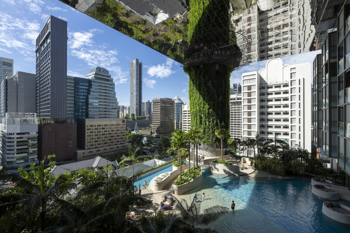 ồ bơi có thiết kế tương tự một đầm nước an tĩnh, mát mẻ - Ảnh: Darren Soh/Archdaily