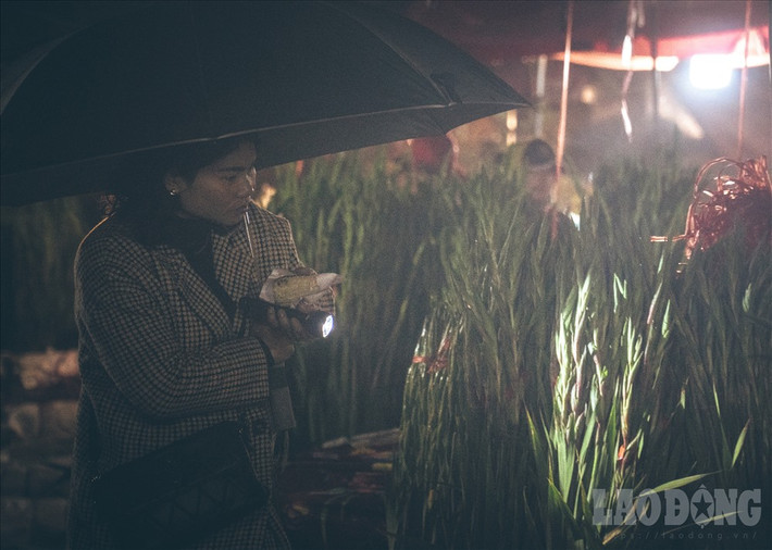Đèn pin là dụng cụ không thể thiếu của những thương lái đi chọn hoa vào ban đêm. Tỉ mỉ chọn những bó hoa ưng ý nhất về cho mình.