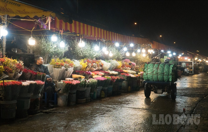 Nằm dọc theo đê Nghi Tàm, Tây Hồ, Hà Nội, chợ hoa đêm Quảng Bá là một trong những khu chợ hoa nổi tiếng nhất Hà Nội.