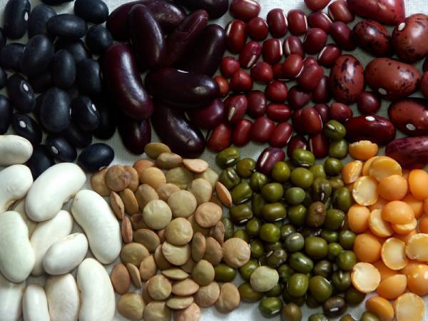 Hạt đậu cũng là một loại thực phẩm có chứa rất nhiều canxi, vitamin E và chất xơ, giúp bé phát triển cả về não bộ. Tuy nhiên, với trẻ em dưới 1 tuổi bạn cần có phương pháp chế biến đặc biệt như xay nhuyễn, tránh để trẻ ăn nguyên hạt vì dễ dẫn đến hóc, nghẹn.