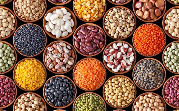 Tất cả các loại hạt đều chứa rất nhiều các dưỡng chất như canxi, vitamin C và chất xơ không những tốt cho sự phát triển xương khớp mà còn tốt cho hệ tiêu hóa, bài tiết của trẻ.