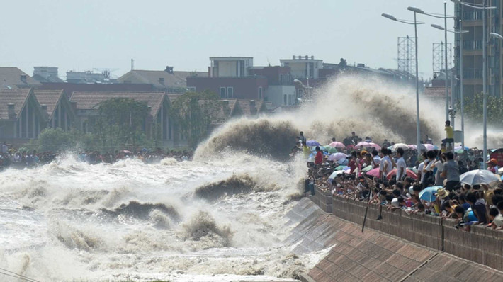 Bất chấp nguy hiểm đã được cảnh báo và thậm chí là hàng rào bảo vệ ngăn lại từ phía bên kia bờ bao, nhiều người hiếu kỳ vẫn tập trung sát lòng sông để chứng kiến những cảnh tượng kinh hoàng này.