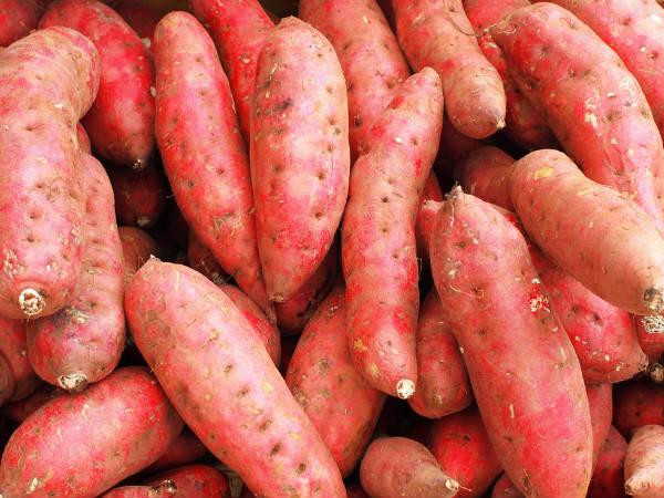 Khoai lang cũng là một loại thực phẩm giúp trẻ phát triển xương khớp tốt hơn. Khoai lang có chứa rất nhiều canxi và vitamin C giúp tăng mật độ xương khớp và tăng sức hấp thụ các khoáng chất khác của cơ thể.