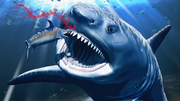 Một giả thuyết khác cho rằng, cá mập Megalodon có thể chịu sự cạnh tranh con mồi từ cá mập trắng nhỏ hơn. Sự cạnh tranh này có thể dẫn tới việc cá mập Megalodon tuyệt chủng. Tuy nhiên, đây chỉ là giả thuyết nên giới khoa học vẫn nỗ lực giải mã sự kiện bí ẩn này.