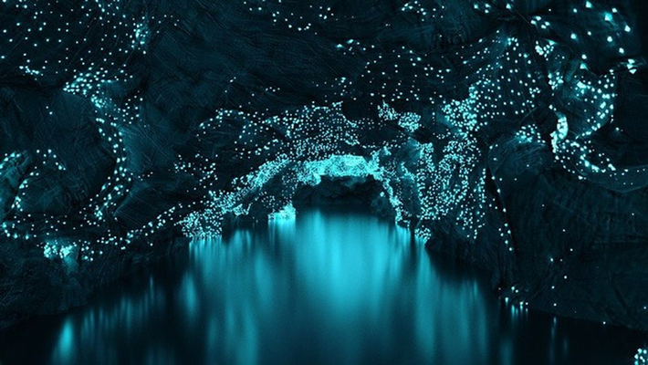 2. Hang Glowworm, Waitomo, New Zealand. Hệ thống hang động Waitomo có đến hàng nghìn ấu trùng phát quang sinh học, tạo ra các chuỗi dài ánh sáng, trông tựa như dải Ngân hà dưới lòng đất.