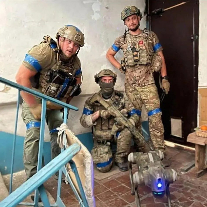 Được biết, Ukraine sẽ sớm triển khai chó robot ra tiền tuyến, thay thế binh lính trong các nhiệm vụ nguy hiểm như do thám chiến hào hoặc dò mìn. (Nguồn ảnh: Topwar, Lenta.ru, Bild).