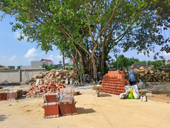 Nhưng chữ nghĩa thì không biết nên văn tự cũng không biết viết, ông bị trưởng bạ (chức cai dịch chuyên lo sổ cách điền bạ ở làng) miệt thị, khinh bỉ. Quá uất ức, Ngô Thái Cẩn quyết tâm dùi mài kinh sử, học đêm học ngày, có nhiều khi người trong làng thấy Ngô Thái Cẩn vừa đi vừa học.