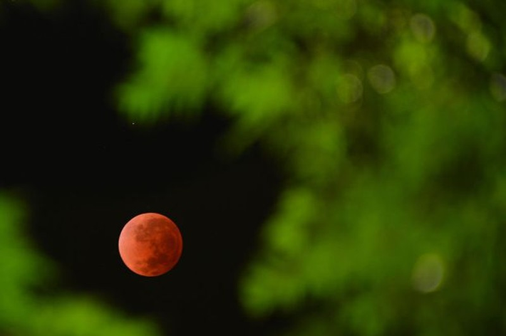 Lần nguyệt thực toàn phần này có thể quan sát trên toàn lãnh thổ Việt Nam. Tại Hà Nội, mặt trăng mọc lúc 17h12 phút, tại TP HCM, mặt trăng mọc lúc 17h22 phút.