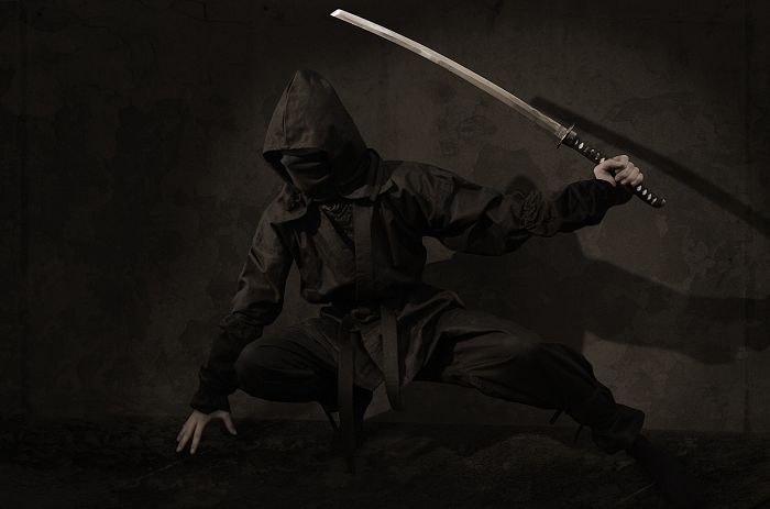 Nhiều người lầm tưởng rằng Ninja có nhiệm vụ là ám sát, tấn công theo lệnh của tổ chức nhưng thực ra công việc chính của họ là thu thập thông tin. Ninja luôn do thám và nắm bắt các tin tức bí mật của phe đối thủ, một khi bị phát hiện thì sẽ lập tức đánh bài chuồn.
