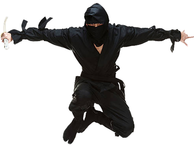 Tuy nhiên, sau này thì Ninja không chỉ làm mỗi nhiệm vụ mật thám nữa mà còn kiêm thêm cả nghề vệ sĩ, gián điệp hay ám sát thuê.