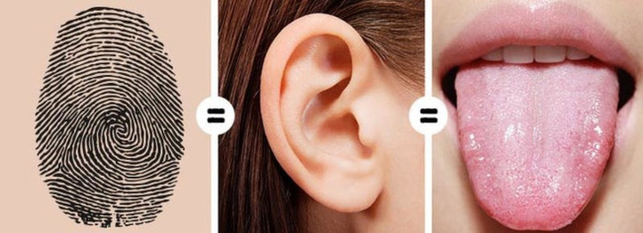 Bạn có thể độc đáo hơn bạn nghĩ: Hình dạng tai của bạn là duy nhất. Lưỡi cũng có hình dạng và kết cấu độc đáo.
