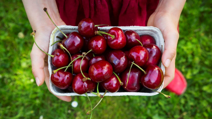 6. Cherry: Nếu bạn muốn ăn chút gì đó có vị ngọt trước khi đi ngủ, hãy thử cherry. Loại quả này thích hợp để ăn nhẹ buổi tối vì chúng có một lượng chất xơ vừa phải và là một trong số ít các loại thực phẩm có chứa melatonin tự nhiên.