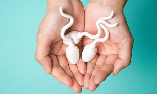 Cải thiện chất lượng tinh trùng: Vitamin B6 và selen có trong tỏi sẽ bảo vệ tinh trùng, giúp tinh trùng khỏe hơn và tăng khả năng thụ thai. Ảnh minh họa