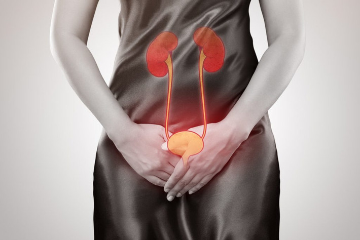 Buồn tiểu, đi tiểu có cảm giác nóng rát, đau bụng dưới,.. đây là các triệu chứng phổ biến của nhiễm trùng đường tiết niệu. Nếu không điều trị kịp thời và triệu để, có thể dẫn đến bệnh nặng hơn, thậm chí ảnh hưởng tới thận. Ảnh minh họa