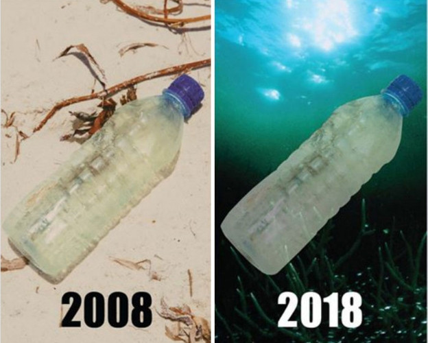 Chai nước bằng nhựa năm 2008 và năm 2018 hầu như không có gì thay đổi. Những đồ vật làm từ nhựa có thể mất hàng trăm năm mới có thể phân hủy được và chúng đang đe dọa trực tiếp đến môi trường cũng như cuộc sống của nhiều loài động vật.