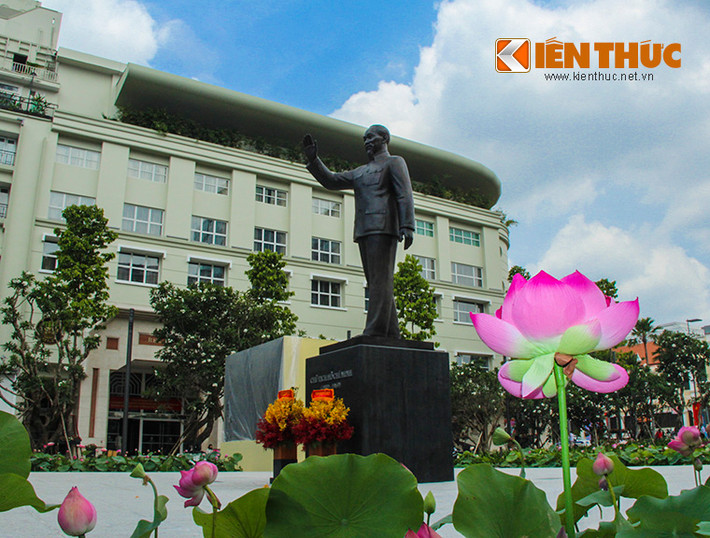 "Tháp Mười đẹp nhất bông sen Việt Nam đẹp nhất có tên Bác Hồ".