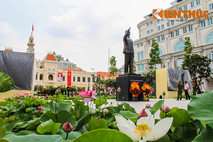Hai bên khuôn viên tượng đài Bác Hồ được trồng rất nhiều sen.