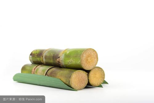 Khi thời tiết lạnh, vận động kém, khí huyết thường thiếu, ăn mía sẽ bổ sung sắt cho cơ thể, kích thích tạo máu.