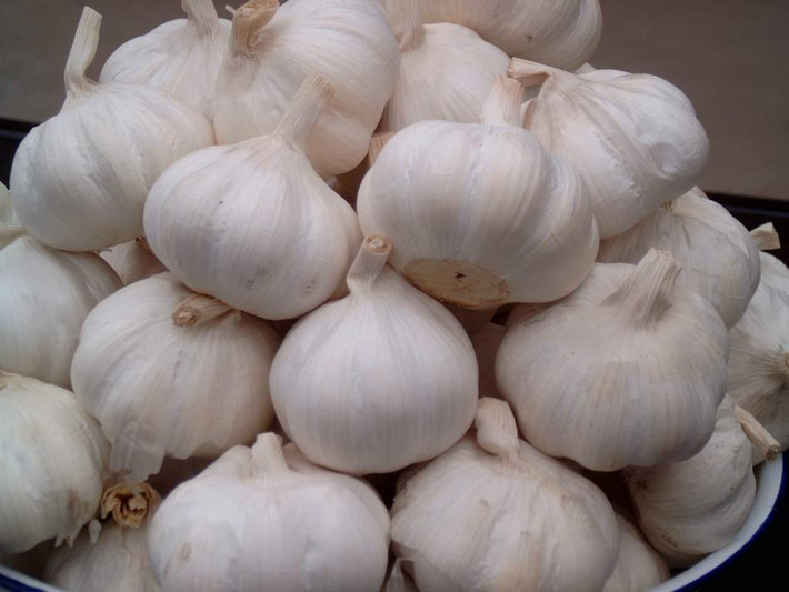 Điều cần lưu ý, chỉ nên ăn với liều lượng vừa đủ, đặc biệt những quý ông có chức năng tỳ vị kém không nên ăn tỏi sống, chỉ nên làm gia vị trong các món ăn và mỗi ngày không nên ăn quá 2 tép.