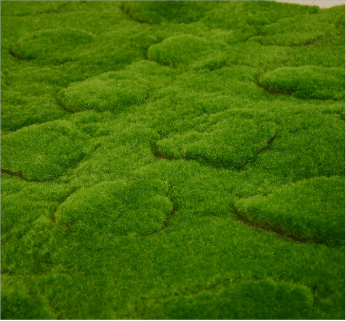Không giống như các loài cây cao lớn, lớp rêu có khả năng hấp thụ khí CO2 trong môi trường và giữ nó lại trong toàn bộ lớp phủ. Điều này giúp giảm thiểu lượng khí CO2 trong bầu khí quyển và nó là một phần trong các hoạt động khác nhau để kiểm soát biến đổi khí hậu.