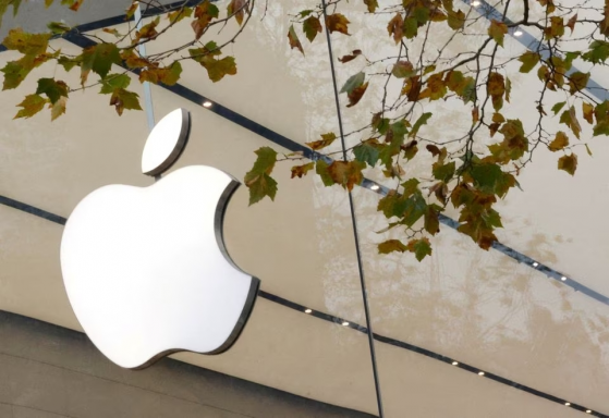 Nhìn chung, cửa hàng Apple Store trực tuyến tại Việt Nam hầu như có đầy đủ các sản phẩm và dịch vụ của Apple đang cung cấp.