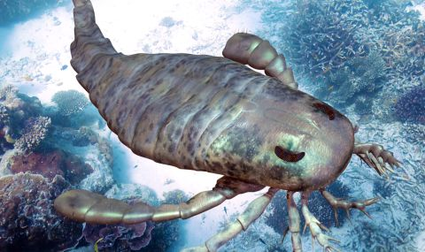 Eurypterid là những sinh vật cổ đại có ảnh hưởng lớn đến sự phát triển của các loài sinh vật khác trong công cuộc tiến hóa.
