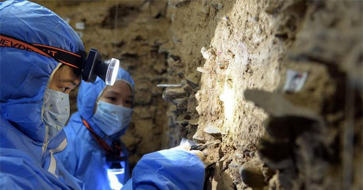 Trong số đó, ta có thể kể đến một số "loài người ma", những loài người sống tách biệt với dòng tổ tiên chính của các loài người khác.