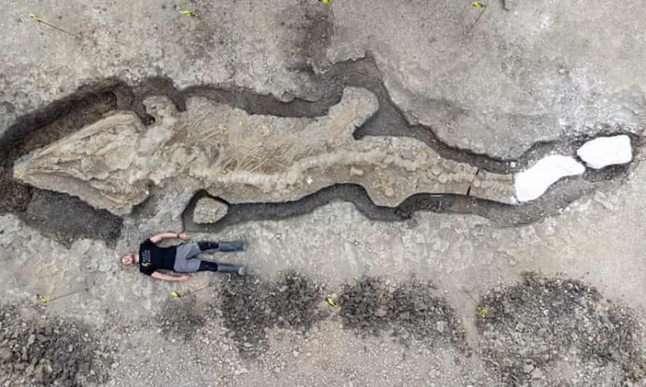 Ichthyosaur có niên đại khoảng 180 triệu năm tuổi với bộ xương dài gần 10 mét và hộp sọ nặng khoảng một tấn, là hóa thạch lớn nhất và hoàn chỉnh nhất của loài thằn lằn cá từng được tìm thấy ở Anh.
