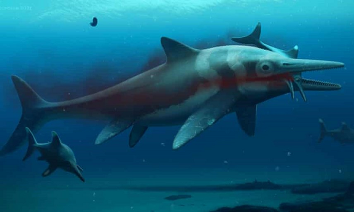 Sở dĩ Ichthyosaurs được gọi là rồng biển vì chúng có có bộ răng và đôi mắt rất lớn.