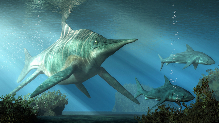 Ichthyosaurs là một loài bò sát biển, xuất hiện lần đầu tiên khoảng 250 triệu năm trước và tuyệt chủng sau đó 160 triệu năm. Chúng có kích thước khác nhau từ 1 đến hơn 25 mét chiều dài và có hình dạng giống cá heo.
