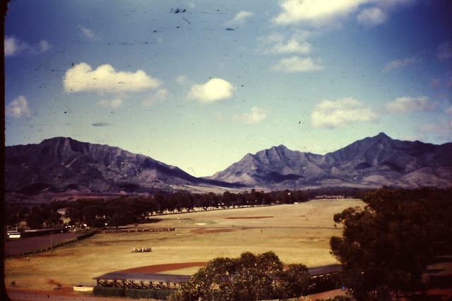 Cánh đồng gần Schofield Barracks. Ảnh VT