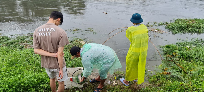 Người tranh thủ thả lưới gần bờ.