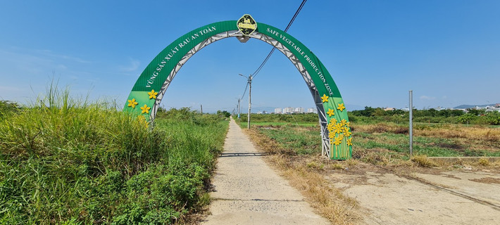 Làng rau La Hường nằm trên địa bàn phường Hòa Thọ Đông, quận Cẩm Lệ có diện tích khoảng 7ha với 50 hộ dân tham gia sản xuất.