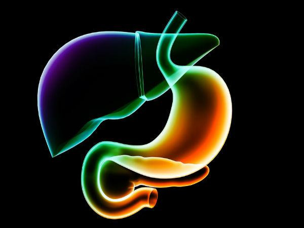 Uống quá nhiều rượu khiến gan bị khô. Tuy nhiên, ở một số người, gan có thể phục hồi ngay cả khi đã chết một phần. Bỏ rượu và ăn những thực phẩm làm sạch cơ thể có chứa axit folic và vitamin B giúp bộ phận cơ thể này hoạt động tốt hơn.