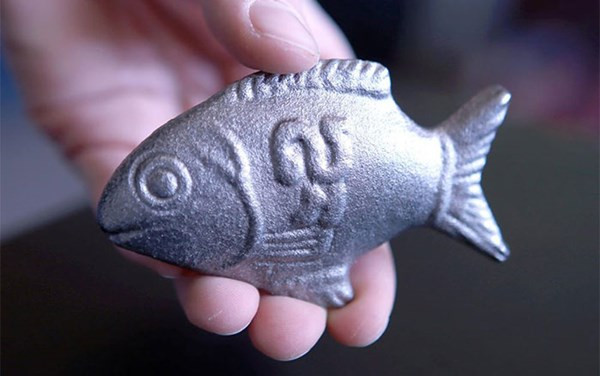 Hiện nay nhiều quốc gia đang phát triển không có nhiều các sản phẩm bổ sung sắt, giúp chữa thiếu máu hoặc chúng cũng quá đắt đối với người nghèo. Hay đơn giản là có rất nhiều người không hề biết rằng mình đang bị thiếu máu.