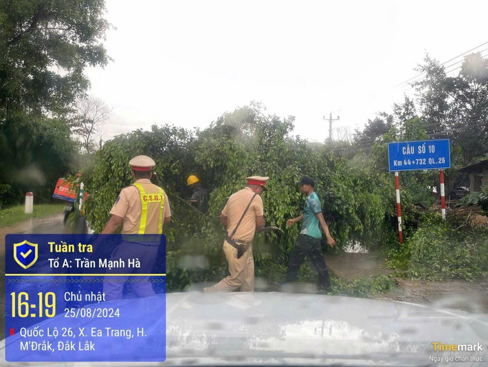 Vào lúc 16h00’ ngày 25/8/2024, tại km 44+700 Quốc lộ 26 (thuộc địa bàn xã Ea Trang, huyện M'Đrắk), thời tiết mưa lớn kèm giông lốc làm tốc mái một ngôi nhà và làm cây cối gãy ngã ra phần đường xe chạy, gây ùn tắc giao thông, cản trở phương tiện qua lại. Lực lượng CSGT đã kịp thời có mặt cùng người dân chặt cây, dọn dẹp để giải tỏa ùn tắc, đưa mặt đường trở lại thông thoáng, bảo đảm người dân đi lại thuận tiện, an toàn.