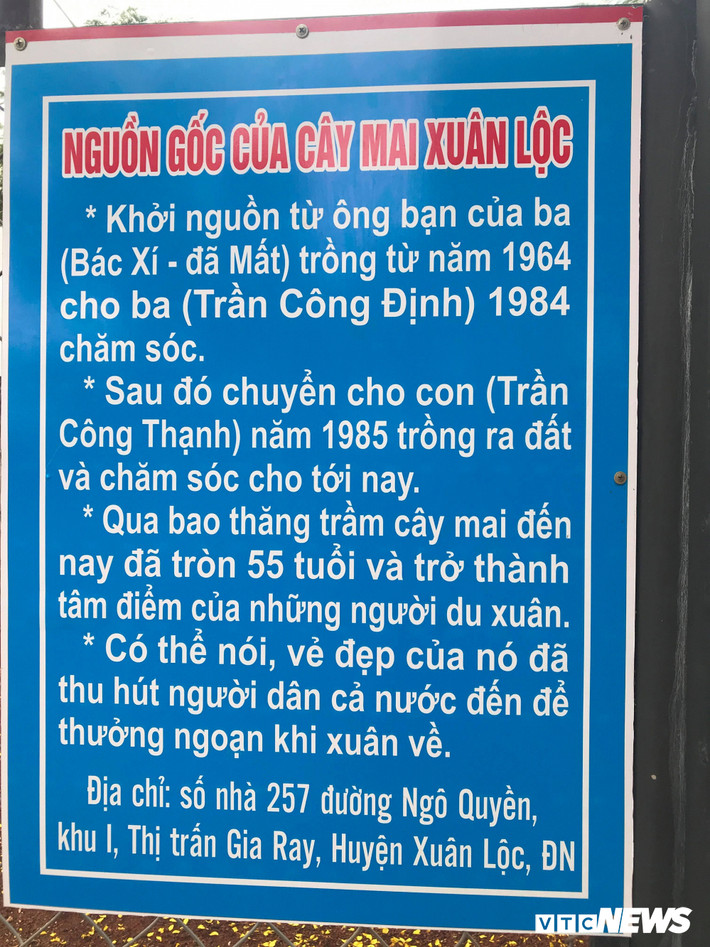 Nguồn gốc của "cụ mai".