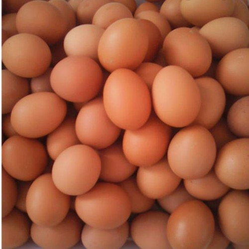 Trong gà công nghiệp, trứng màu nâu thường được ưa chuộng hơn vì cho rằng chúng có hàm lượng dinh dưỡng cao hơn. Tuy nhiên, sự khác biệt này không đáng kể.