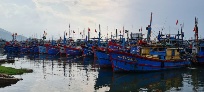 Luồng lạch ra vào thuận tiện, giá hải sản cao hơn các nơi khác, bởi vậy, âu thuyền - cảng cá Thọ Quang luôn tấp nập tàu cá ra vào.