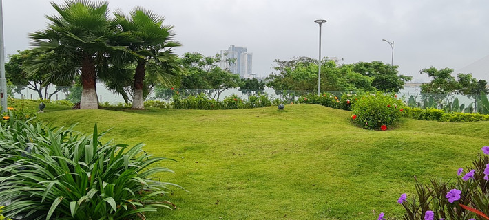 Công viên được bao phủ với hệ thống cây xanh, thảm cỏ được đầu tư và thiết kế kỹ lưỡng, được chăm sóc tươi tốt.