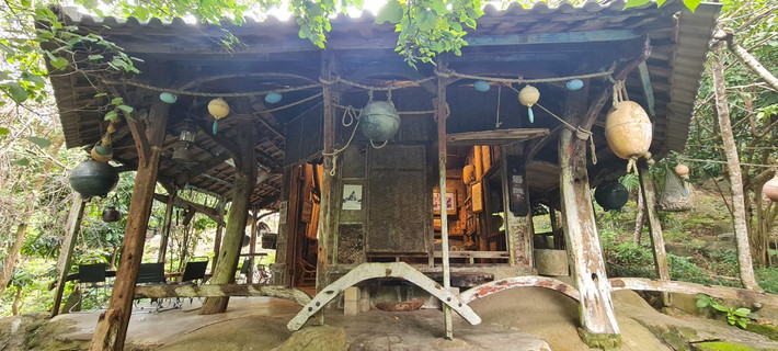 Ngôi nhà độc đáo được làm từ những con thuyền cũ hiện ra giữa tán rừng xanh miên man, vừa huyền bí vừa trầm mặc.
