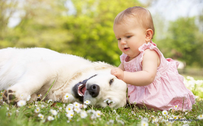 Hình ảnh em bé chơi đùa với chú chó của mình nhẹ nhàng, bình yên.