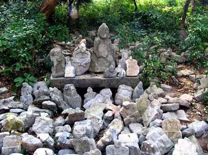 Phát hiện này đã gây chấn động khắp Trung Quốc và được coi là một kỳ quan thế giới, được bảo vệ cẩn thận như một di tích văn hóa quan trọng.