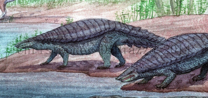 Theo các nhà khoa học, Aetosaur là nhóm thằn lằn chúa bọc thép đã tuyệt chủng vào hàng trăm triệu năm trước. Nó có họ hàng gần với cá sấu và là họ hàng xa với chim, khủng long. Tên gọi Aetosaur phần nào nói lên đặc tính của chúng. Loài này vốn là thằn lằn đại bàng, sở hữu hộp sọ giống đại bàng nhưng phần thân lại giống cá sấu.
