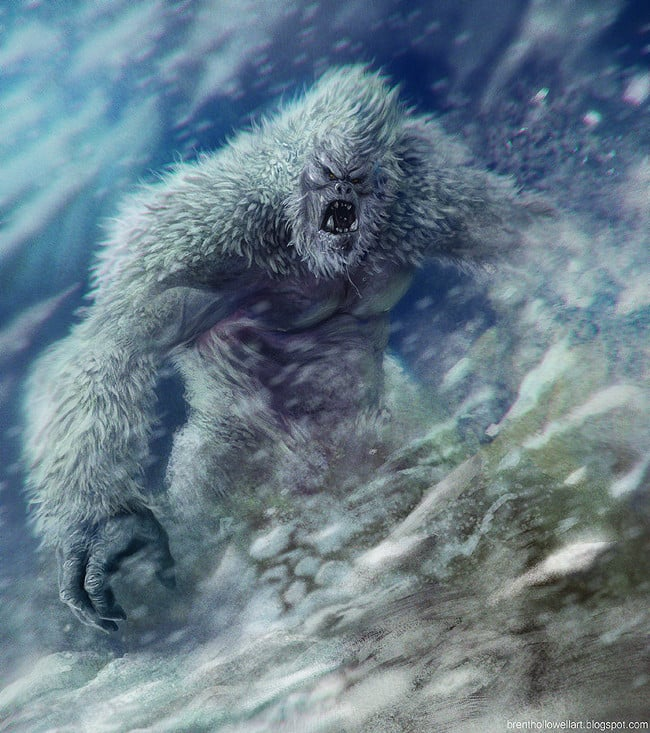 Một số mẫu lông, xương tìm thấy ở Himalaya ban đầu được cho là của Yeti, nhưng phân tích khoa học gần đây kết luận chúng thuộc về các loài chó và gấu địa phương. Điều này làm giảm tính xác thực về sự tồn tại của Yeti.(Ảnh: Dân việt)