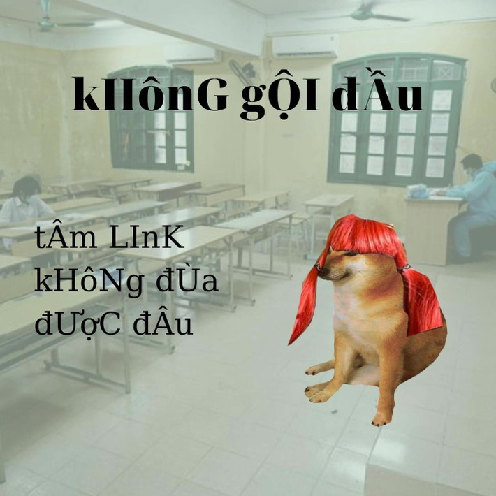 Với nhiều "người chơi hệ tâm linh" việc gội đầu trước ngày thi tốt nghiệp là điều không nên.