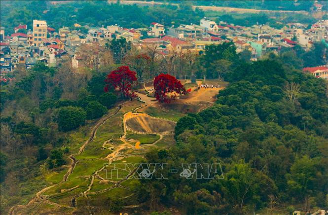 Di tích Đồi A1.