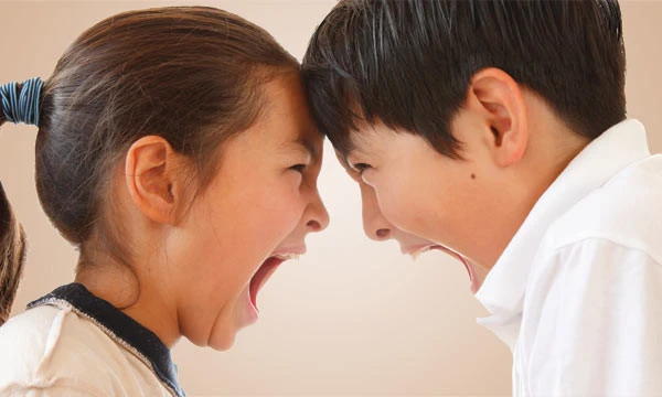 Sự bất hòa giữa anh em: Ngoài cha mẹ, anh chị em là những người thân thiết, ruột thịt nhất của chúng ta. Tình anh em khó có ai có thể chia rẽ.